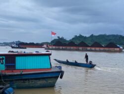 Belasan Triliun Hasil Batu Bara Mengalir, Bos Bayan Terkaya di Indonesia