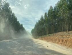 Banyak Insiden, Muncul Larangan Lintasi Tol Makoba, Harusnya Lebih Peduli