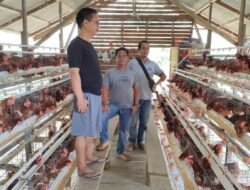 Jalan Rusak, Jerang Melayu Mulai Bangkit Membangun