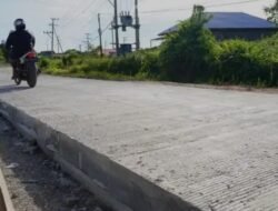 Semenisasi Jalan di Kota Tebersit Sia-sia, Beli Sayuran Lebih Murah Datang ke Kebun