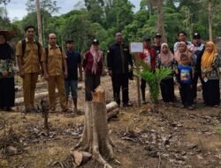 Deraya Tanam Padi dan Sawit, Ini Ancamannya