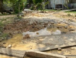 Pohon Pisang Tumbuh di Gang Dharma Melak Ilir