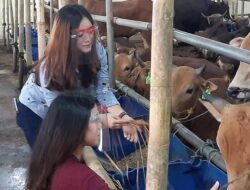 Ada Apa, Sumber Bangun Dirikan Spothall