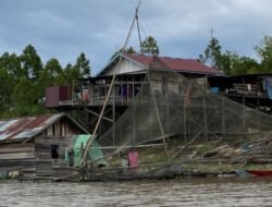 Uang Beli Ikan Rp 613 Miliar, Sayangnya 7 Ribu Ton Didatangkan dari Luar