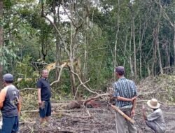 Viralkan Proyek Fiktif, Petinggi Beloan Siapkan Gugatan Hukum