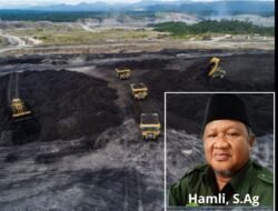 Solusi Islam Mengatasi Krisis Energi