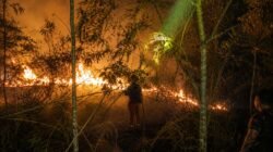BPBD Kutai Barat Padamkan Karhutla di Jengan Danum, Tiga Hektare Lahan Terdampak
