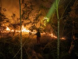 BPBD Kutai Barat Padamkan Karhutla di Jengan Danum, Tiga Hektare Lahan Terdampak
