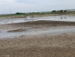 Sungai Jintan di Muara Pahu yang Kehilangan Air Dampak Tambang, Nelayan Kehilangan Hidup