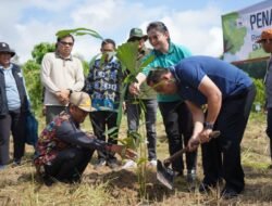 Permintaan Gula Aren Kampung Minta Meningkat, Pemkab Kutai Barat Siapkan Perluasan Rumah Produksi