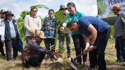 Permintaan Gula Aren Kampung Minta Meningkat, Pemkab Kutai Barat Siapkan Perluasan Rumah Produksi