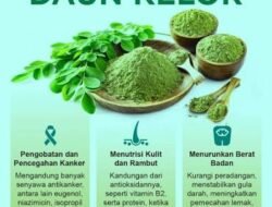 Daun Kelor jadi Herbal di Indonesia, Malah Australia Belum Izinkan sebagai Pangan, Kenapa ya ???