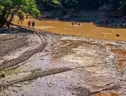 Adat Muara Beloan Larang Tangkap Ikan Terjun ke Sungai, Ini Alasannya
