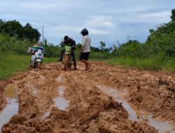 Jalan Menuju Muara Beloan Dibangun Mulai 2027, Dikerjakan Bertahap hingga 2029