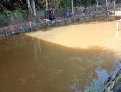 Weekend di Kutai Barat, Pemancingan Berkah Sumber Bangun Tawarkan Sensasi Mancing Murah Tanpa Tiket Masuk