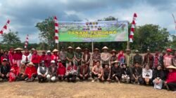 69,87 Hektare Sawah Rakyat di Penawai Ditanami Padi