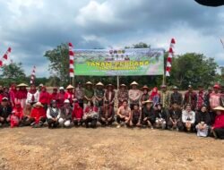 69,87 Hektare Sawah Rakyat di Penawai Ditanami Padi