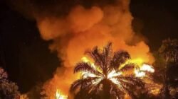 Kebakaran Hanguskan 6 Rumah dan 2 Rumah Walet di Lembonah, Kerugian Rp 900 Juta
