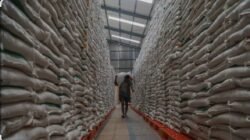 Stok Beras Nasional Capai 26 Juta Ton, Pemerintah Pastikan Aman Hadapi Kemarau dan Ancaman El Nino
