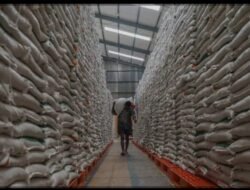 Stok Beras Nasional Capai 26 Juta Ton, Pemerintah Pastikan Aman Hadapi Kemarau dan Ancaman El Nino