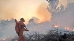 Karhutla Berdampak Luas, BDR di Kutai Barat Diperpanjang hingga 5 September