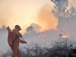 Karhutla Berdampak Luas, BDR di Kutai Barat Diperpanjang hingga 5 September