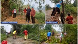 Petinggi Pimpin Warga Muara Beloan Gotong Royong Bersihkan Jaringan PLN, Ada Calon hanya Koar-Koar tanpa Peduli