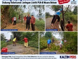 Petinggi Pimpin Warga Muara Beloan Gotong Royong Bersihkan Jaringan PLN, Ada Calon hanya Koar-Koar tanpa Peduli