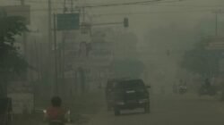 12,5 Juta Warga Terdampak Asap Karhutla, 4 Orang Meninggal Dunia, di Kutai Barat Makin Pekat